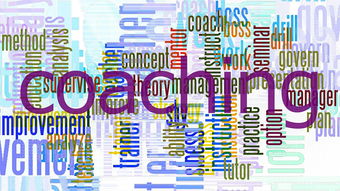 开云 官网 入口-高校体育课程教学创新与实践探索,高校体育教学理论与实践研究