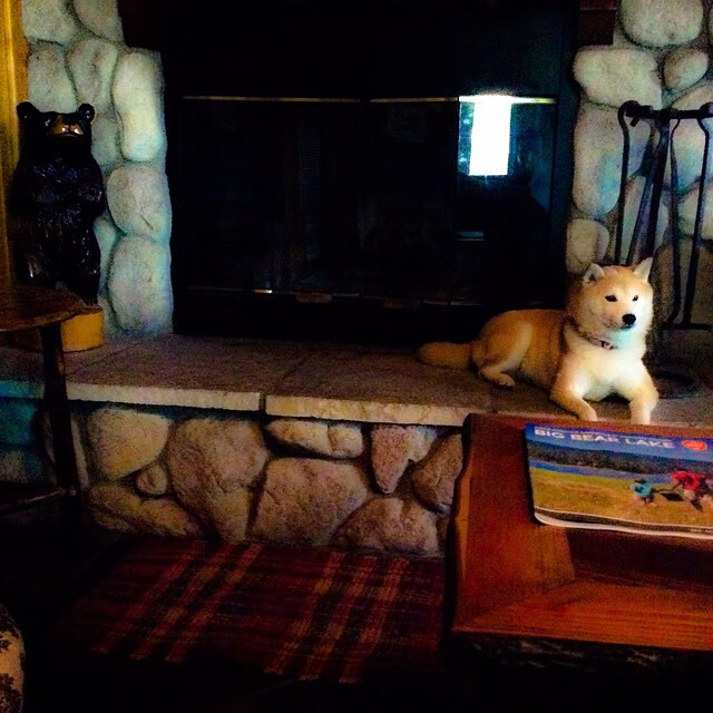 kaiyun开云·官方网站-CBA联盟积极响应国家号召推广群众篮球,篮球协会推行cuba