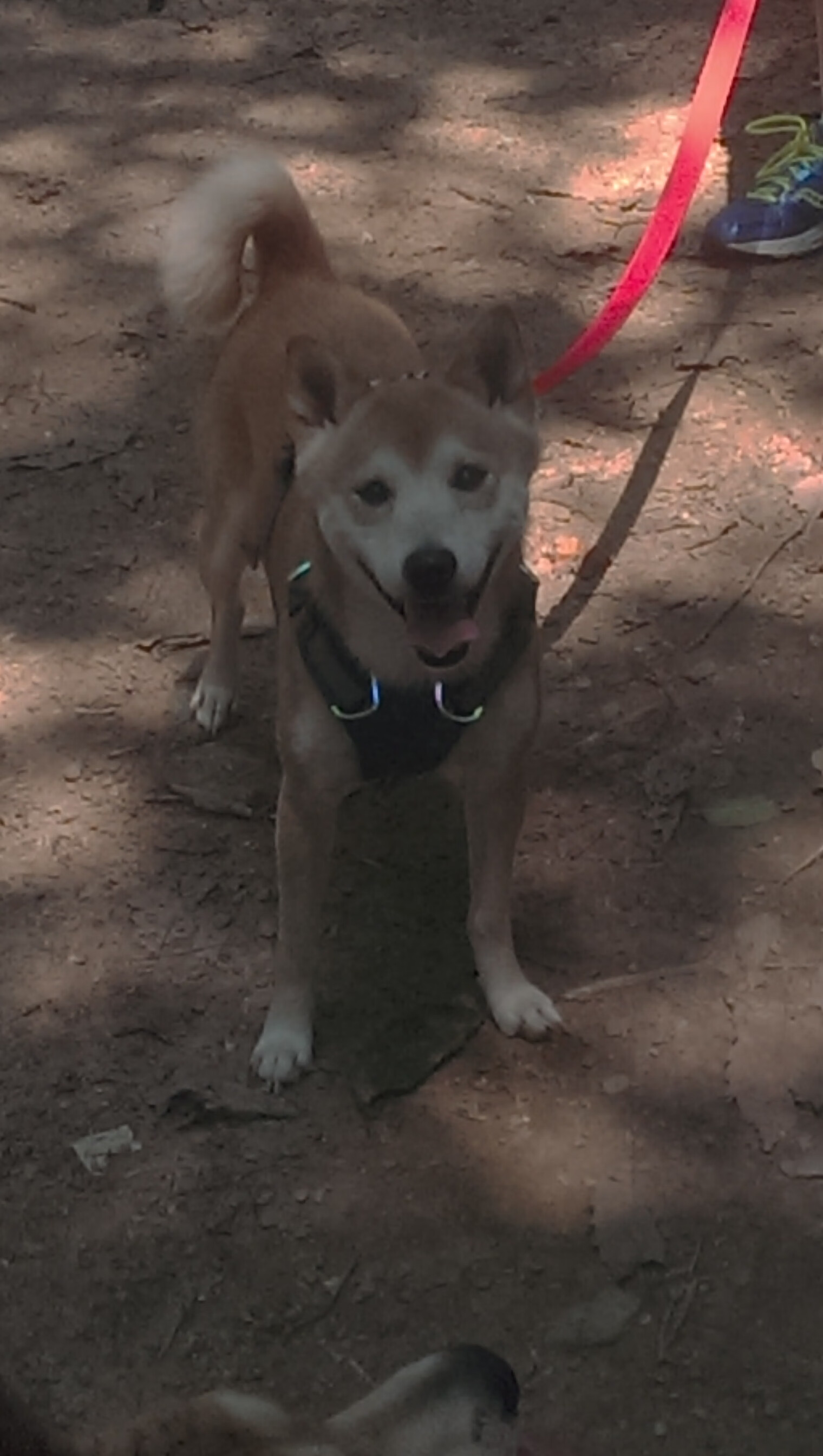 开云体育在线登入-“简阳文体中心:篮球与羽毛球赛事齐头并进,精彩不断”