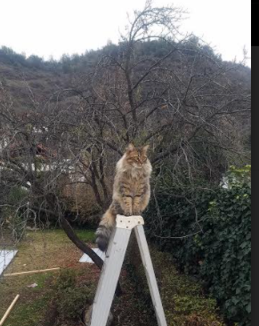 开云体育在线登入-“简阳文体中心:篮球与羽毛球赛事齐头并进,精彩不断”