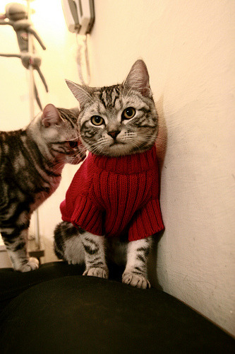 开云·体育全站登录地址-亚洲杯中国女足逆袭 球员状态回暖明显,亚洲杯中国女足逆袭 球员状态回暖明显了吗