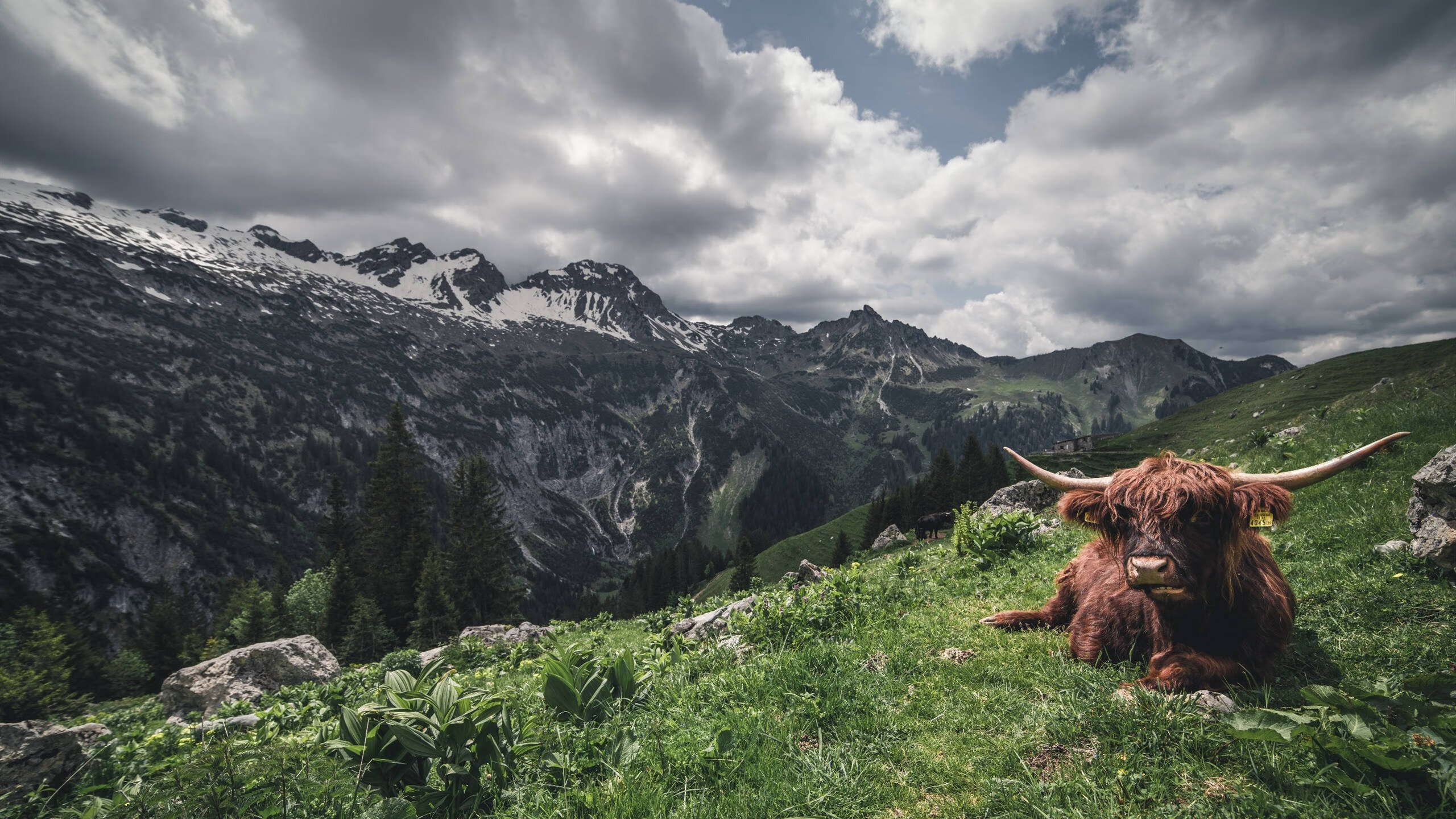 开yun体育-弗赖堡锋线冲击力增强打出关键突破,弗赖堡前锋