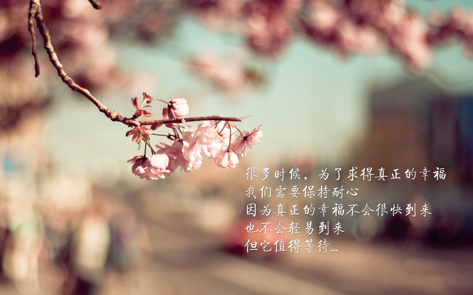 开云体育中国官网-欧冠淘汰赛：天王巨星豪门“对决”，谁能晋级？