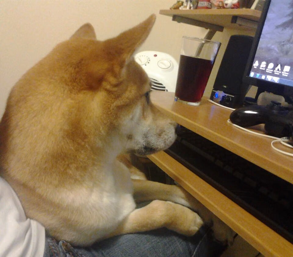 开云网址入口-“武汉马拉松,赛道上的速度狂潮”