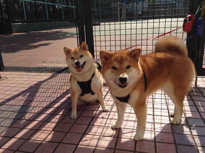 开云体育在线登入-“简阳文体中心：篮球与羽毛球赛事齐头并进，精彩不断”