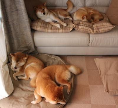 开云中国大陆-五大联赛防线年龄结构是否决定联赛成绩走向,五大联赛标准