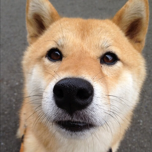 开云·体育全站登录地址-亚洲杯中国女足逆袭 球员状态回暖明显，亚洲杯中国女足逆袭 球员状态回暖明显了吗