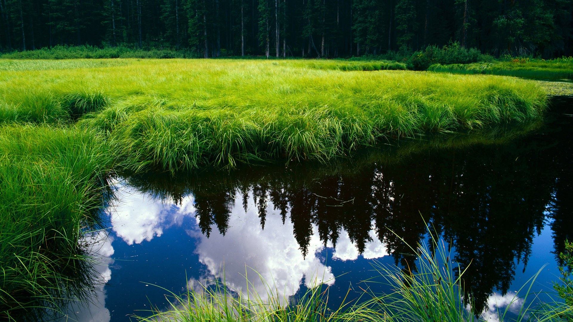 开云官网在线-体育新闻中心参与制定数字体育内容服务规范，体育数字化改革
